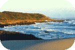 atbeach2.gif (6251 bytes)