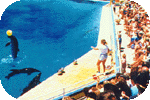 atocean.gif (11805 bytes)